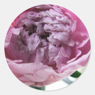 Peony Ronde Sticker