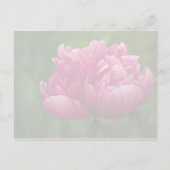 Peony · Save the Date Briefkaart (Achterkant)