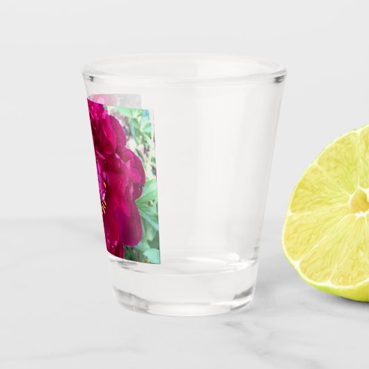 Peony Shot Glass Glas (Rechts)