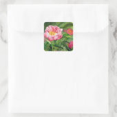 Peony Stickers (Tas)