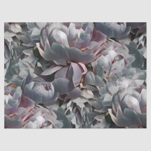 Peony-Studio Tissuepapier (Voorkant)