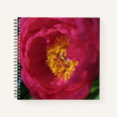 Peony ~ The Flowers Collectie Sketchbook Notitieboek (Voorkant)