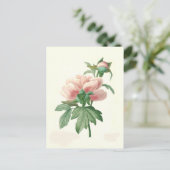Peony van Pierre-Joseph Redouté Briefkaart (Staand voorkant)