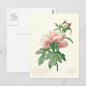 Peony van Pierre-Joseph Redouté Briefkaart (Voorkant / Achterkant)
