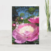 Peony verjaardagskaart kaart (Voorkant)