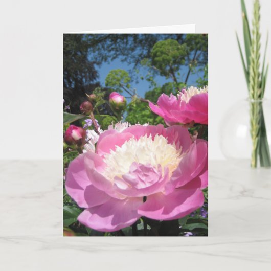 Peony verjaardagskaart kaart (Voorkant)