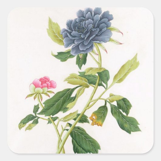 Peony Vierkante Sticker (Voorkant)