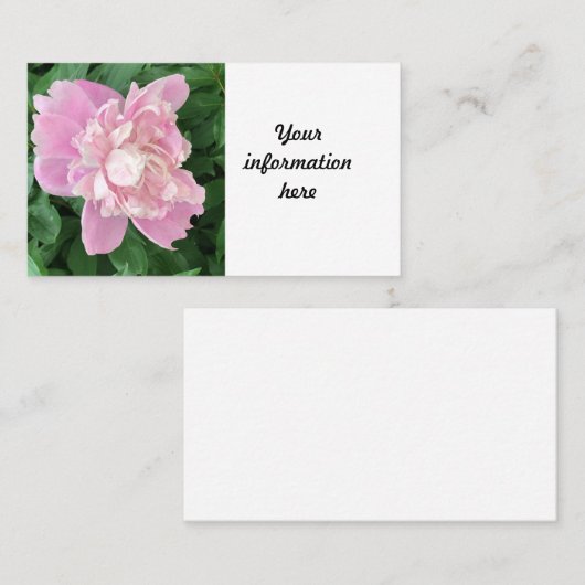 Peony Visitekaartje (Voorkant / Achterkant)