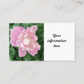 Peony Visitekaartje (Voorkant)