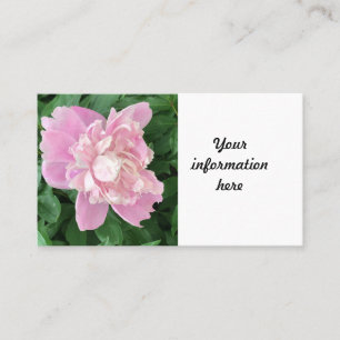 Peony Visitekaartje