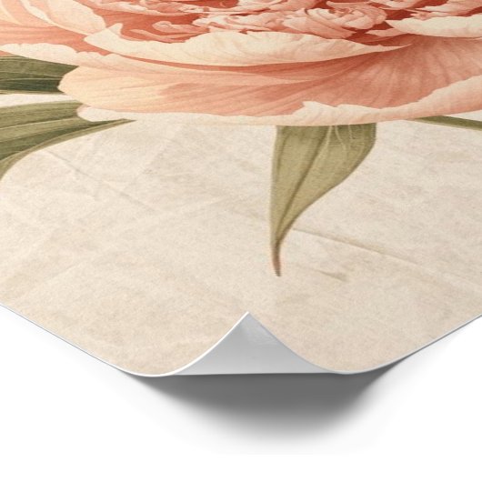Peony Watercolor Elegance Poster (Hoek)