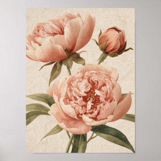 Peony Watercolor Elegance Poster (Voorkant)