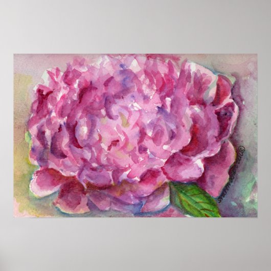 Peony-Waterverf Poster (Voorkant)