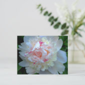 Peony White Briefkaart (Staand voorkant)