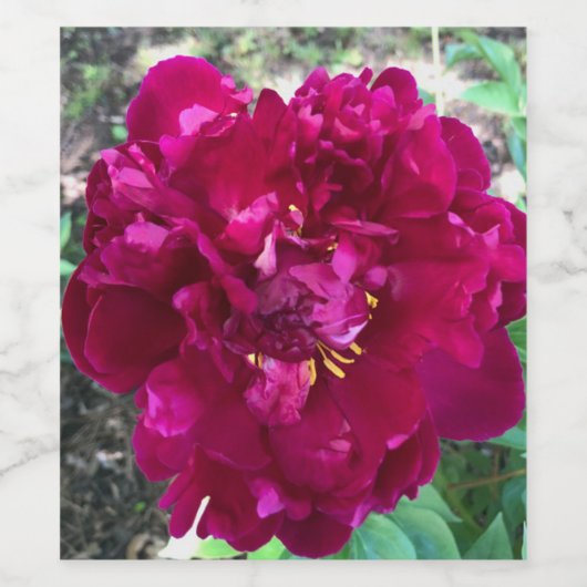 Peony Wijn Etiket (Enkel label)