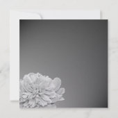 Peony wit en zwart met  kleur kaart (Achterkant)