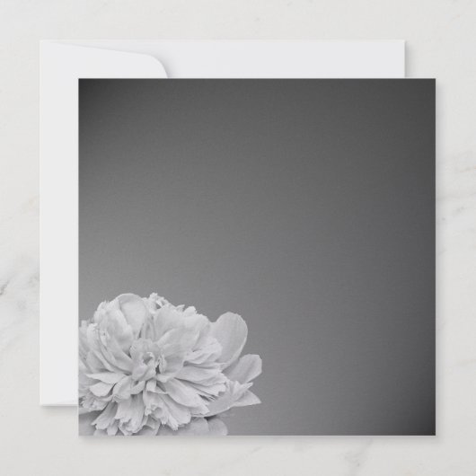 Peony wit en zwart met kleur kaart (Achterkant)