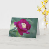 Peony "Zwaarddans" Kaart (Gele Bloem)