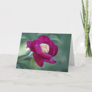 Peony "Zwaarddans" Kaart