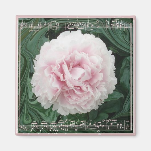 PeonyMusicMagnet Magneet (Voorkant)