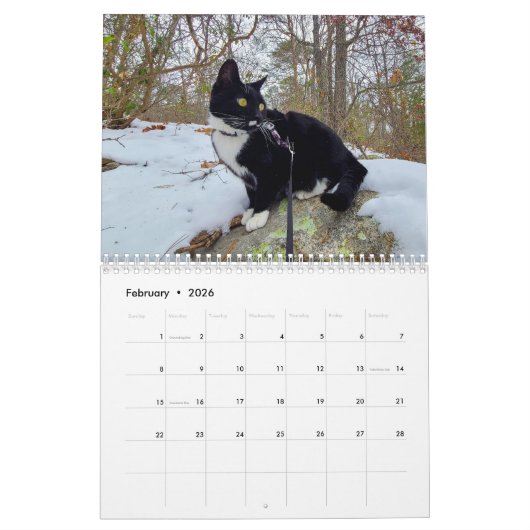 Pepe, een jaar op de kalender van het leven (Feb 2026)