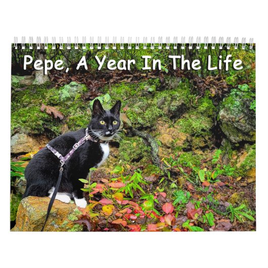 Pepe, een jaar op de kalender van het leven (Hoes)