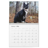 Pepe, een jaar op de kalender van het leven (Jan 2026)