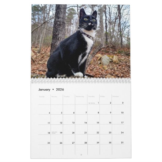 Pepe, een jaar op de kalender van het leven (Jan 2026)