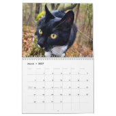 Pepe, een jaar op de kalender van het leven (Mar 2027)