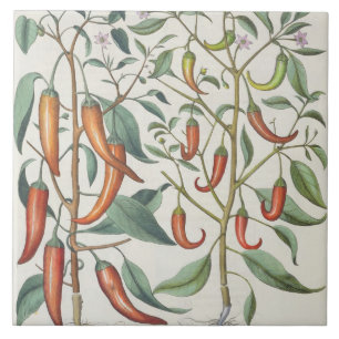 Peper: 1.Indicatielampje voor de maximale longleng Tegeltje