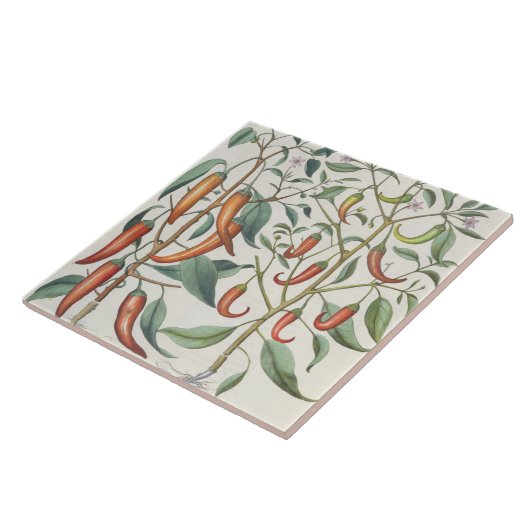 Peper: 1.Indicatielampje voor de maximale longleng Tegeltje (Zijkant)