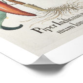 Peper: 1.Piper Indicum maximum longum; 2.Piper I Poster (Hoek)