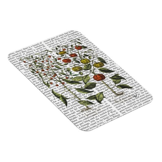 Peper 4 magneet (Rechterzijde)