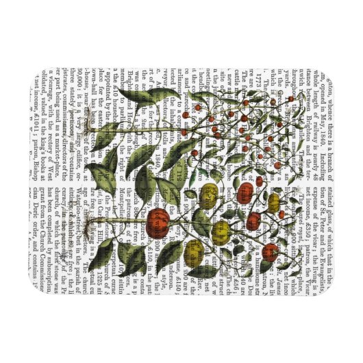 Peper 4 magneet (Horizontaal)