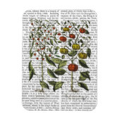 Peper 4 magneet (Verticaal)