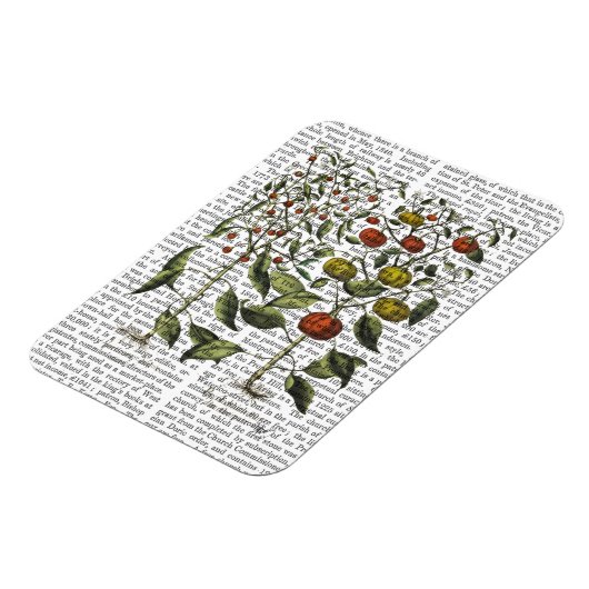 Peper 4 magneet (Linkerzijde)