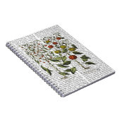 Peper 4 notitieboek (Rechterzijde)