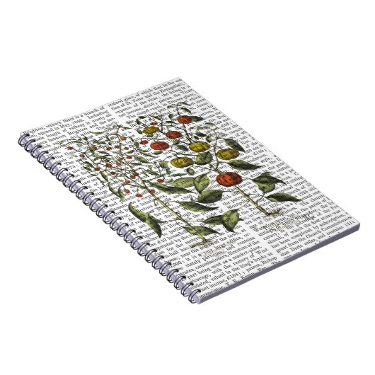 Peper 4 notitieboek (Rechterzijde)