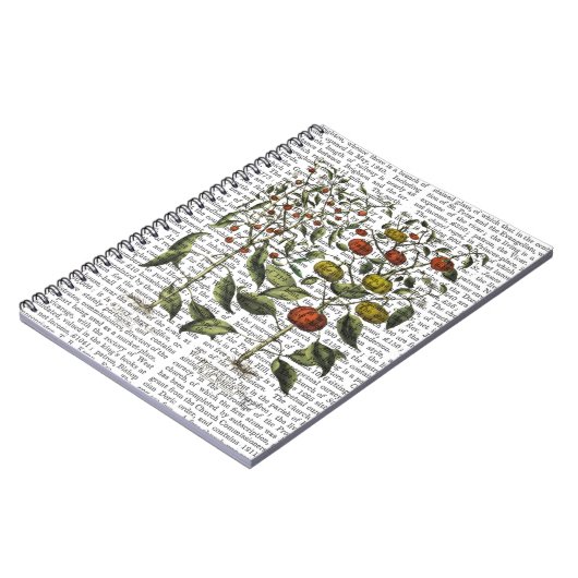 Peper 4 notitieboek (Linkerzijde)