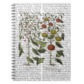 Peper 4 notitieboek (Voorkant)