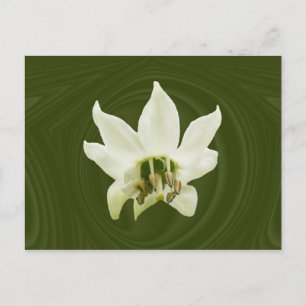 Peper abstract ~ briefkaart