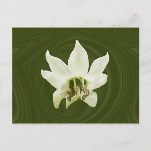 Peper abstract ~ briefkaart (Voorkant)