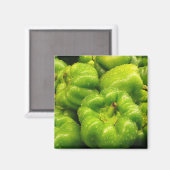 Peper magneet 02 (Voorkant / Achterkant)