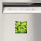 Peper magneet 02 (Insitu (Vaatwasser))