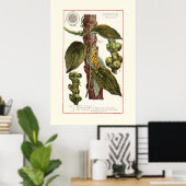 PEPER - VINTAGE BOTANISCHE ILLUSTRATIE POSTER (Thuiskantoor)