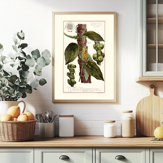 PEPER - VINTAGE BOTANISCHE ILLUSTRATIE POSTER
