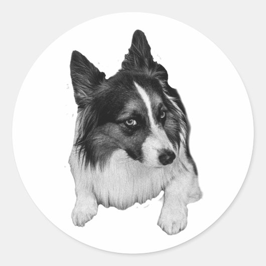Pepermunt Pocket Sticker (Voorkant)