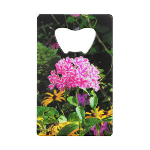 Pepermunt Twist Phlox in de bloementuin Creditkaart Flessenopener