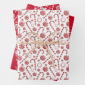 pepermuntkruid inpakpapier vel (In situ)