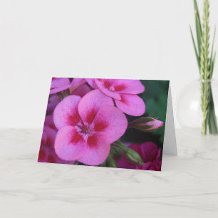 pepermuntroze geranium kaart